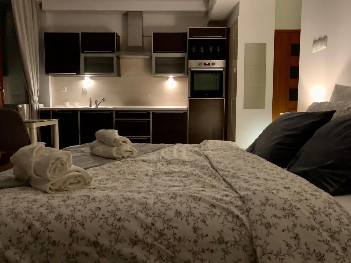 City View Wellness Apartment Swim&Steam&Relax Cracovia Esterno foto